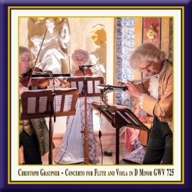Concerto for Flute & Viola in D Minor, GWV 725: I. Largo